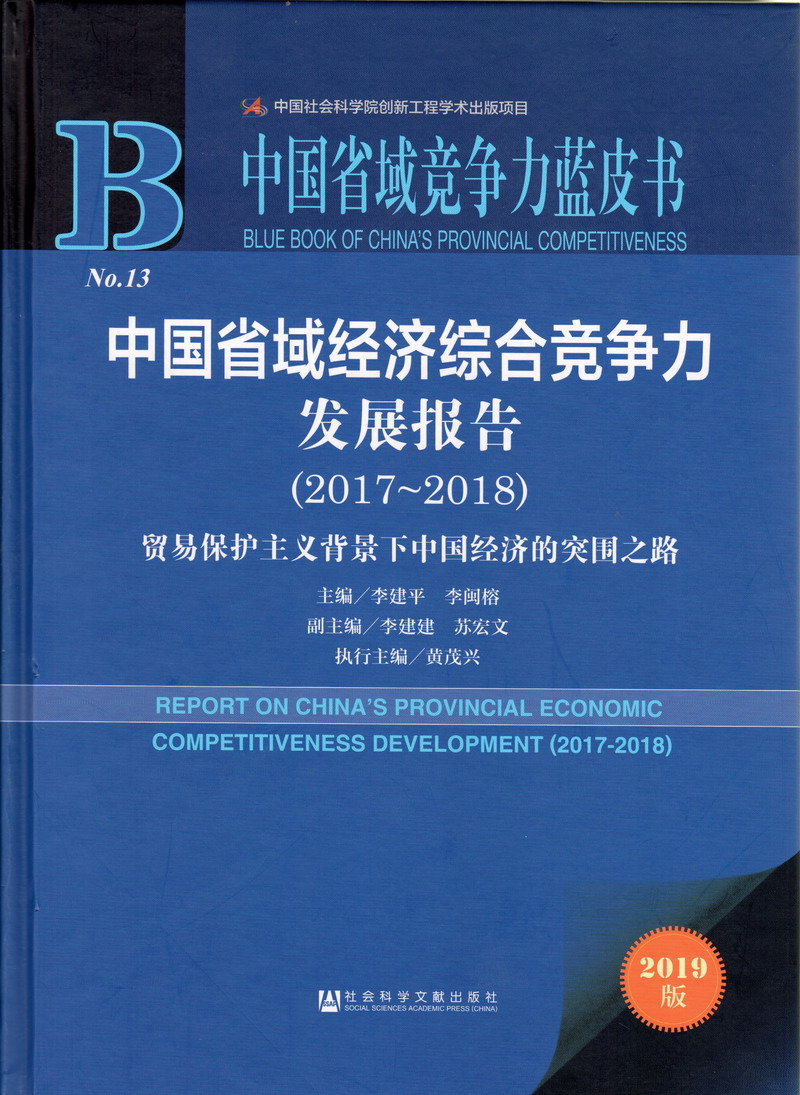 鸡巴插逼视频啊中国省域经济综合竞争力发展报告（2017-2018）